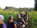 2014-09-15 19-16-24 Retour a travers les mais DLe